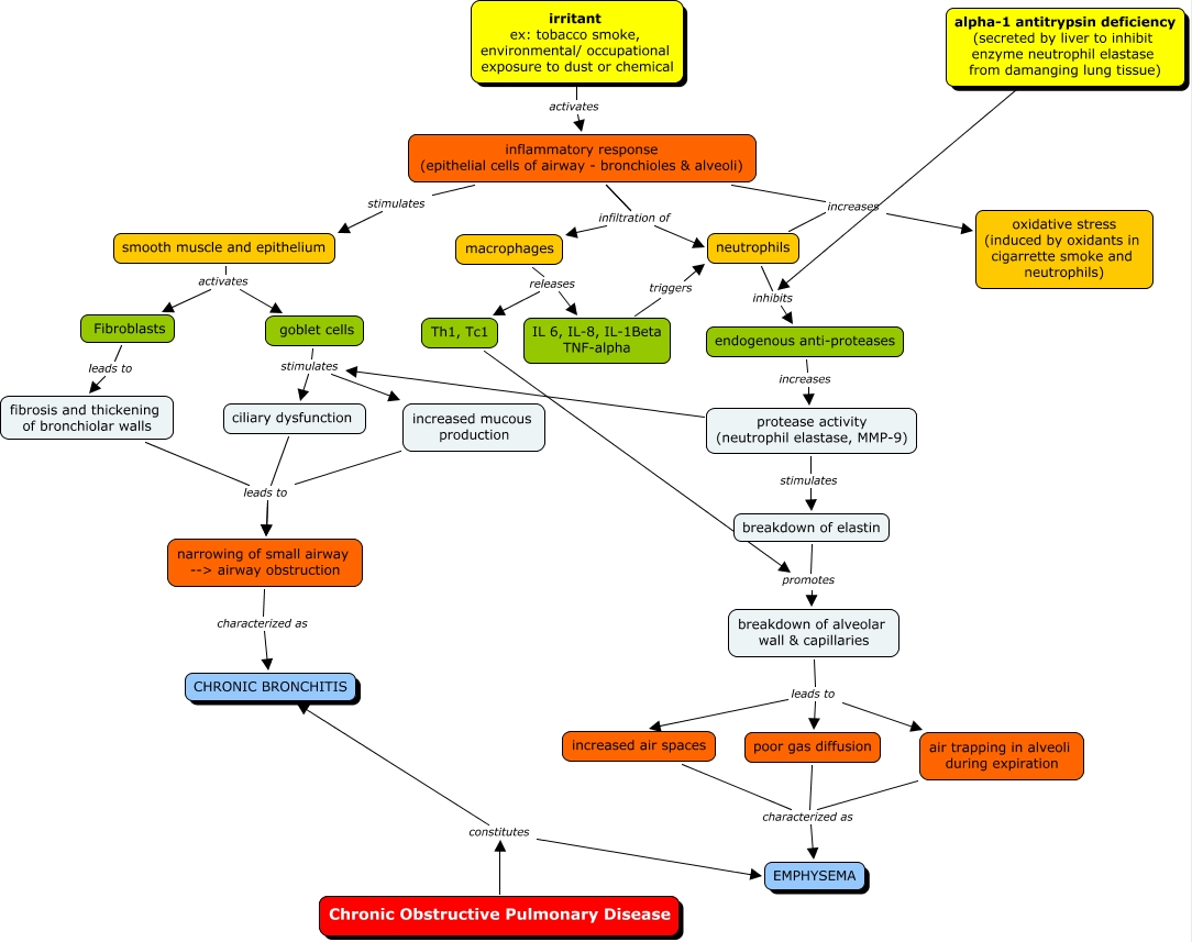Patho concept map copd what is the etiology and pathogenesis of copd